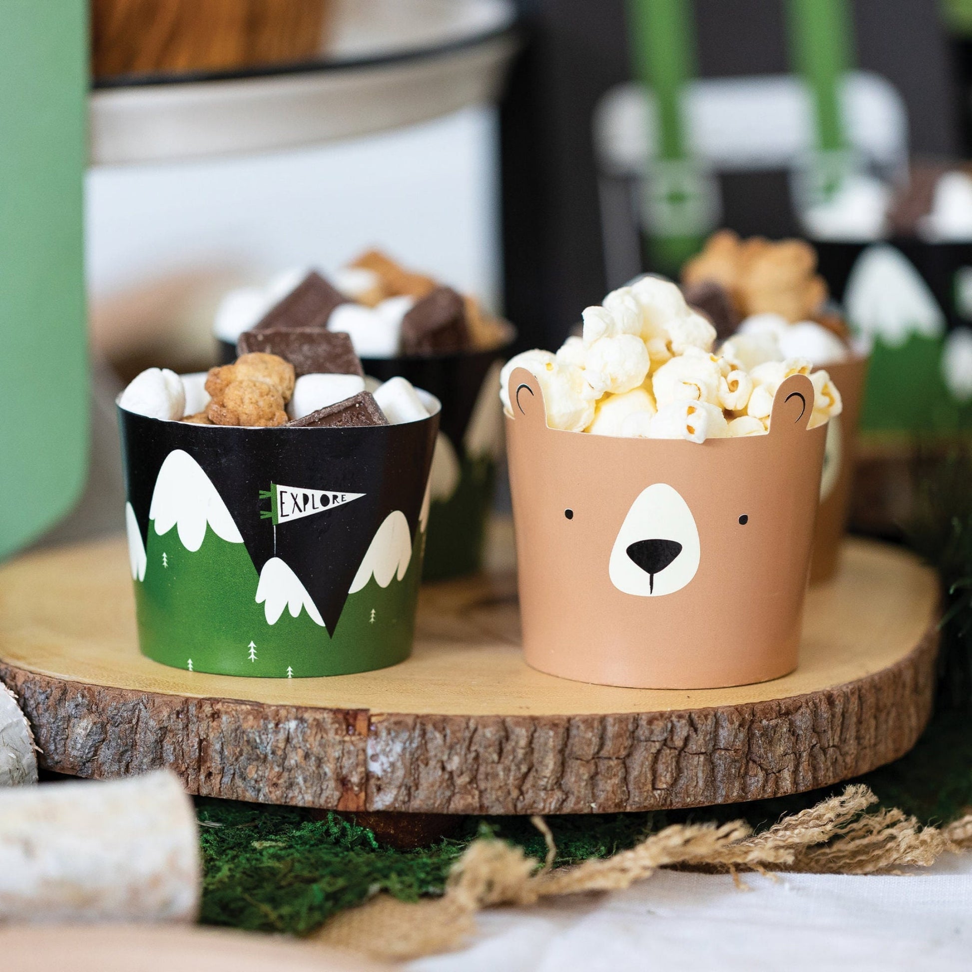 Adventure Bear Food Cups
